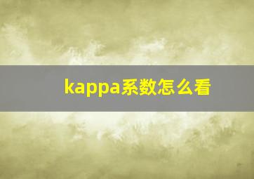 kappa系数怎么看