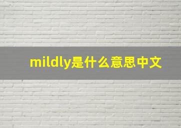 mildly是什么意思中文