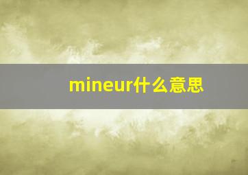 mineur什么意思