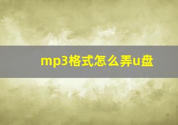 mp3格式怎么弄u盘