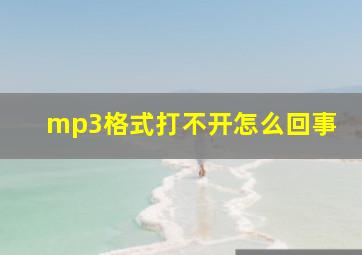 mp3格式打不开怎么回事