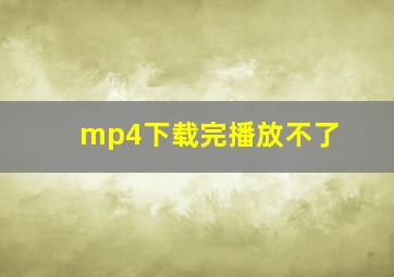 mp4下载完播放不了