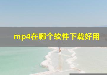 mp4在哪个软件下载好用