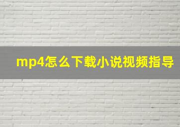 mp4怎么下载小说视频指导