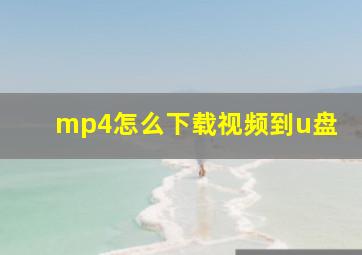 mp4怎么下载视频到u盘