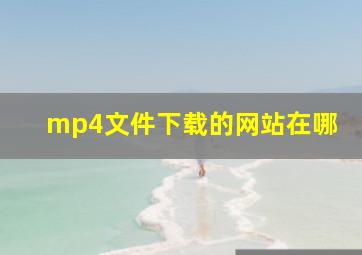 mp4文件下载的网站在哪