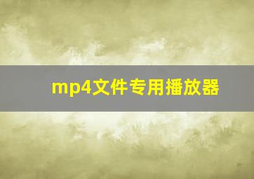 mp4文件专用播放器