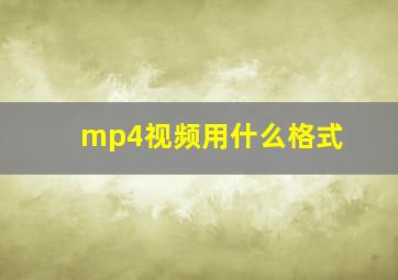 mp4视频用什么格式