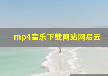 mp4音乐下载网站网易云