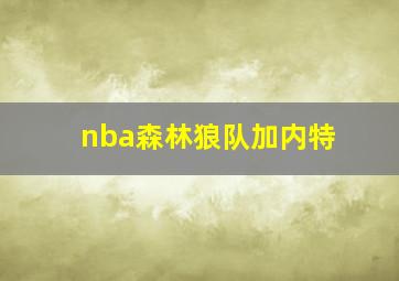 nba森林狼队加内特