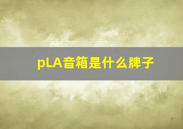 pLA音箱是什么牌子