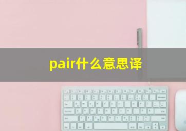 pair什么意思译