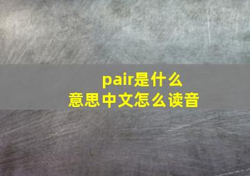 pair是什么意思中文怎么读音