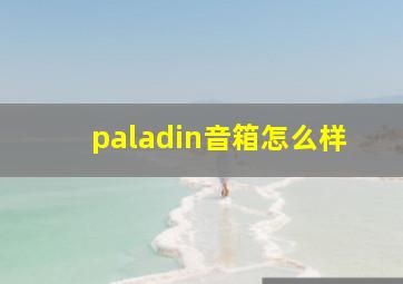 paladin音箱怎么样