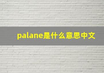 palane是什么意思中文