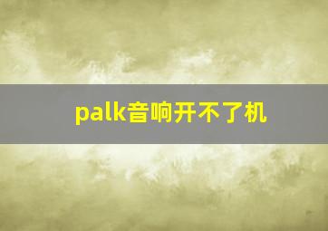 palk音响开不了机