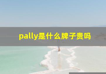 pally是什么牌子贵吗