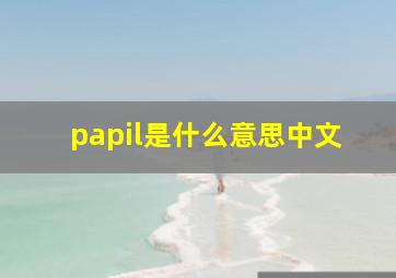 papil是什么意思中文