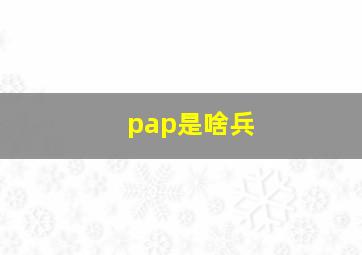 pap是啥兵