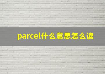 parcel什么意思怎么读