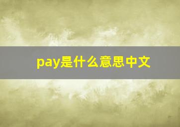 pay是什么意思中文