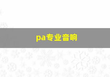 pa专业音响