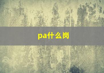 pa什么岗