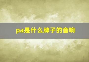 pa是什么牌子的音响