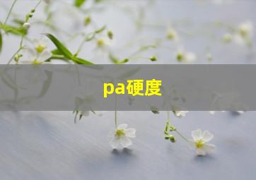 pa硬度