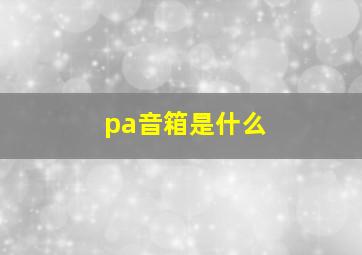 pa音箱是什么