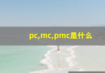 pc,mc,pmc是什么