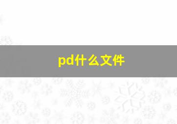 pd什么文件