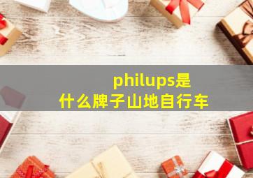 philups是什么牌子山地自行车