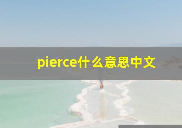 pierce什么意思中文