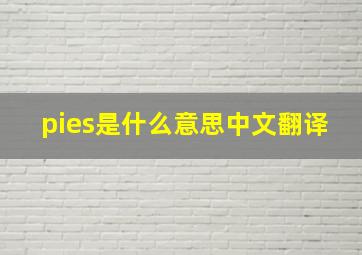 pies是什么意思中文翻译