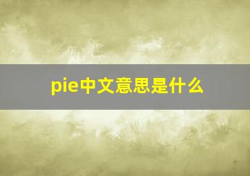 pie中文意思是什么