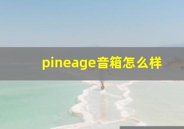 pineage音箱怎么样