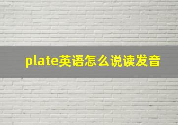 plate英语怎么说读发音