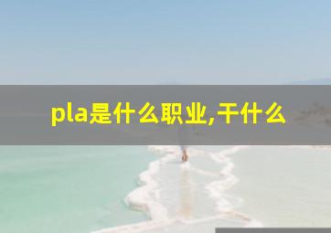 pla是什么职业,干什么