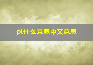 pl什么意思中文意思