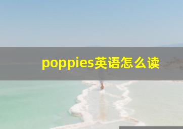 poppies英语怎么读