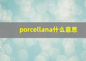 porcellana什么意思