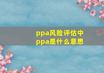 ppa风险评估中ppa是什么意思