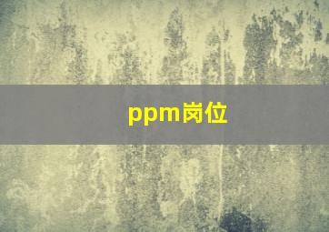 ppm岗位