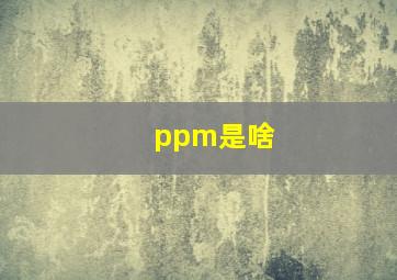 ppm是啥