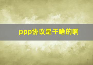 ppp协议是干啥的啊