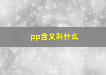 pp含义叫什么