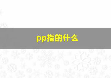 pp指的什么