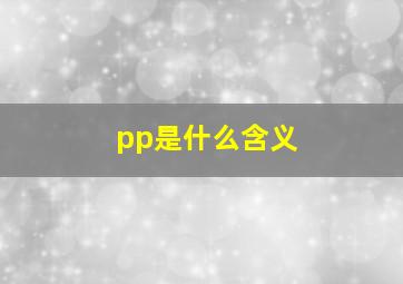 pp是什么含义