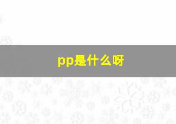 pp是什么呀